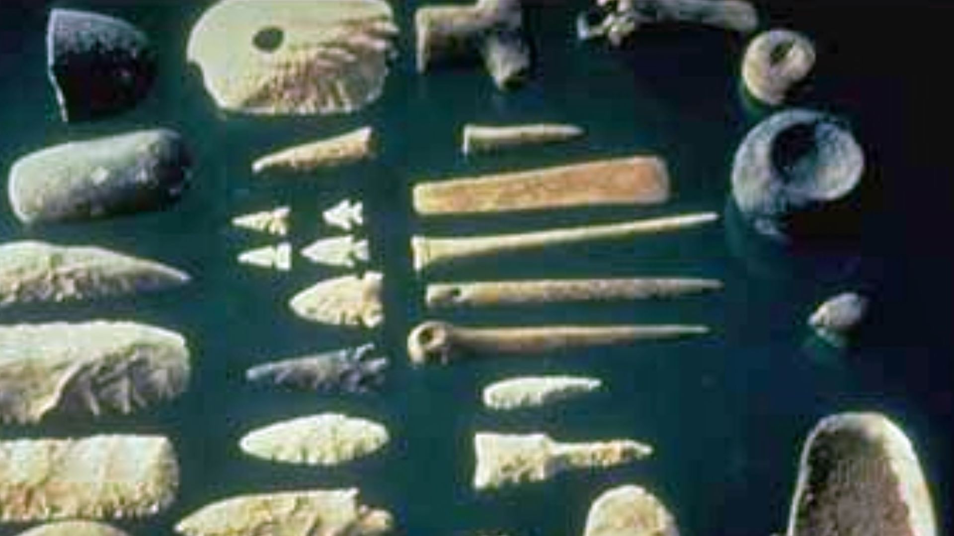 A variety of tools made of mussel shells.[1]