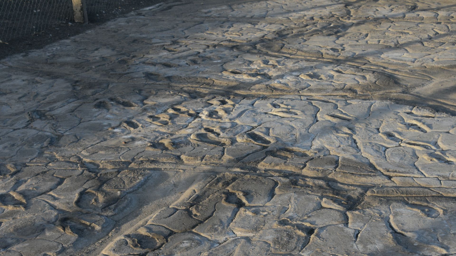 Hominid footprints near Lake Natron (4)