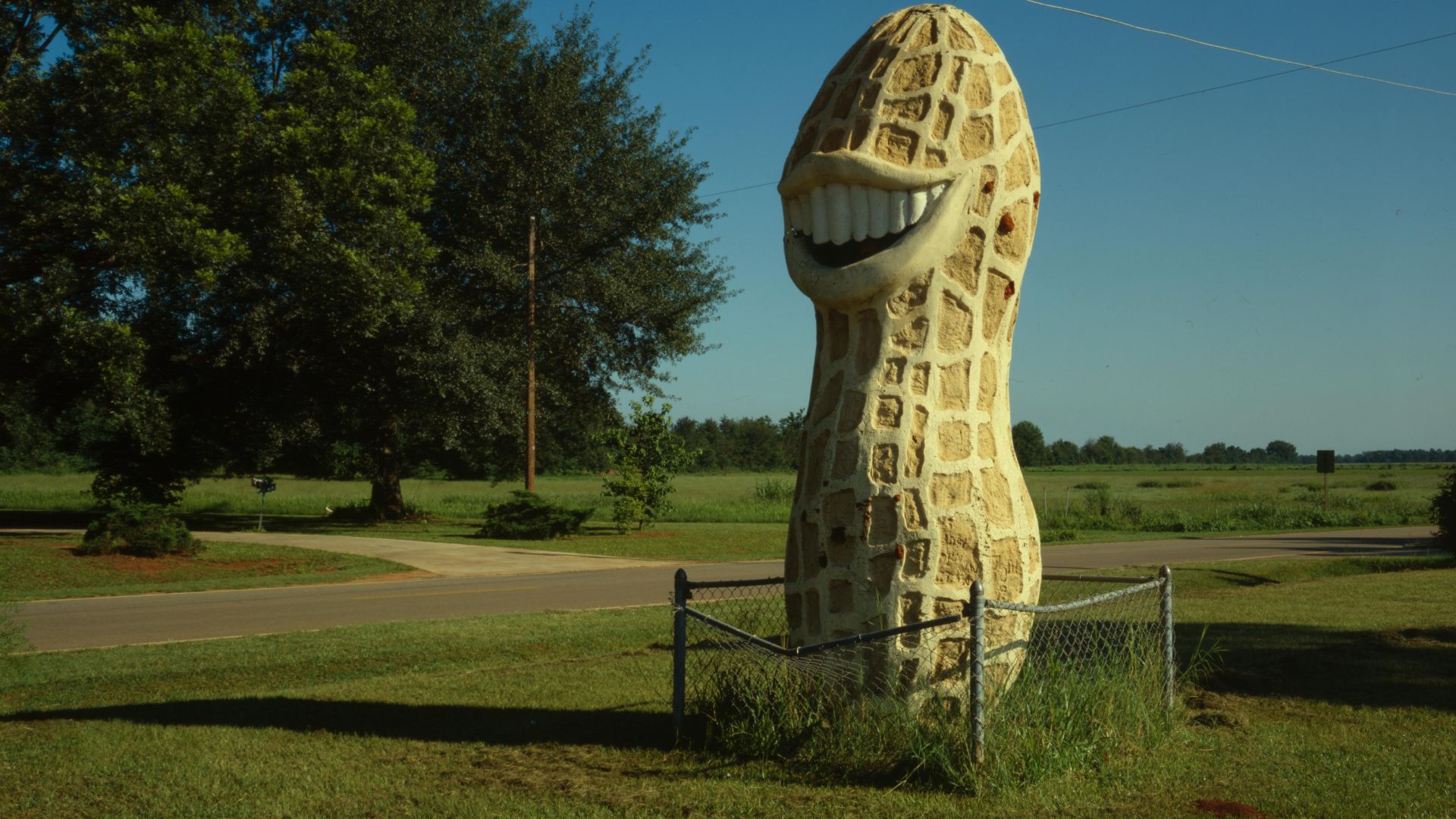 A giant smiling peanut, located on the southern side of Highway 45 near Plains in Sumter County, Georgia, United States.  Built in 1947, it is associated with Plains native Jimmy Carter.