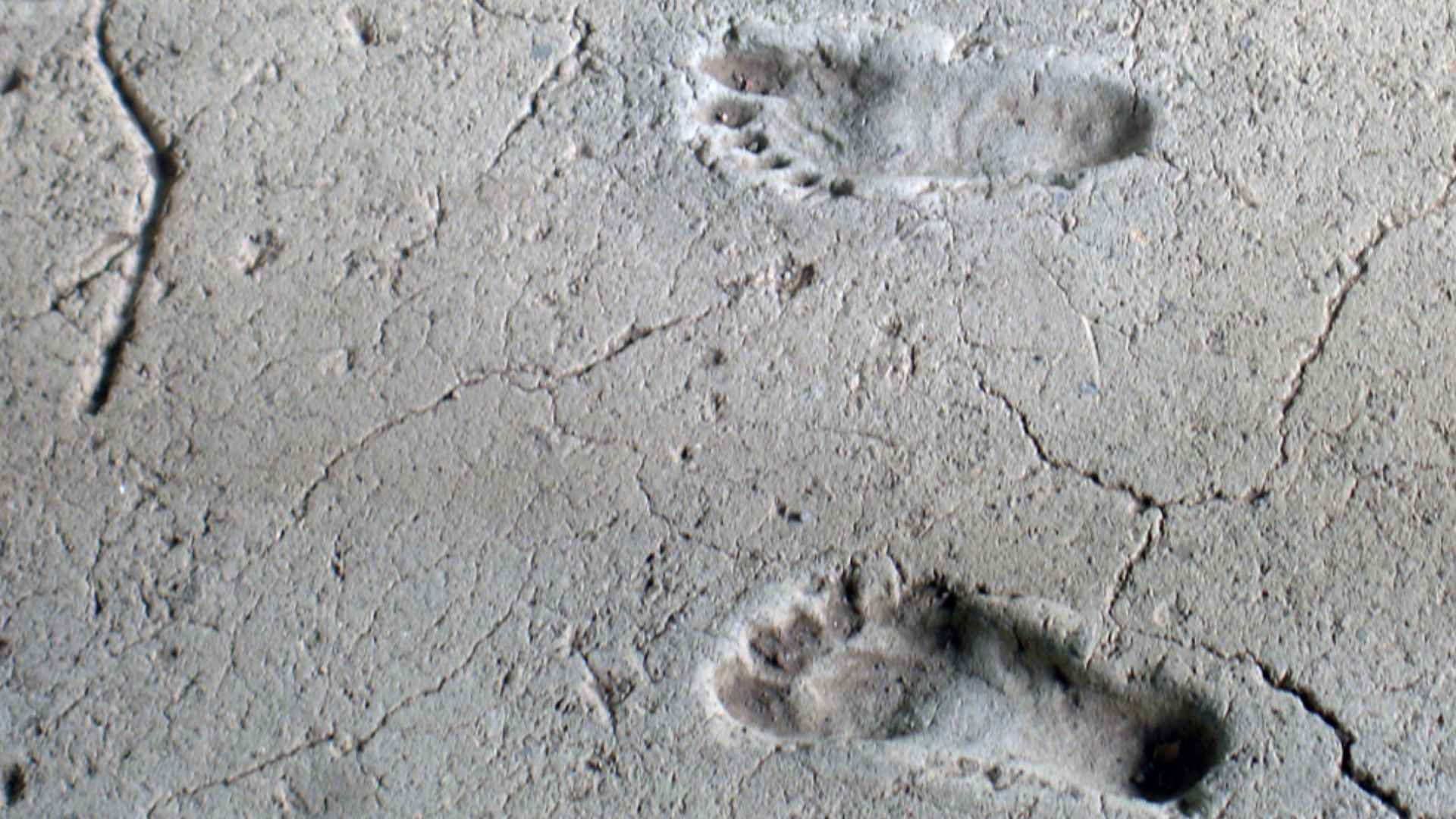 2100 year old human footprints preserved in volcanic mud near the lake in Managua, Nicaragua. They are called Huellas de Acahualinca.