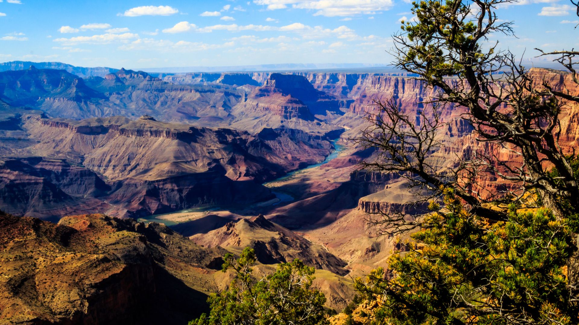 500px provided description: Canyon River Tree [#landscape ,#mountains ,#water ,#nature ,#river ,#tree ,#arizona ,#canyon ,#grand canyon ,#colorado]