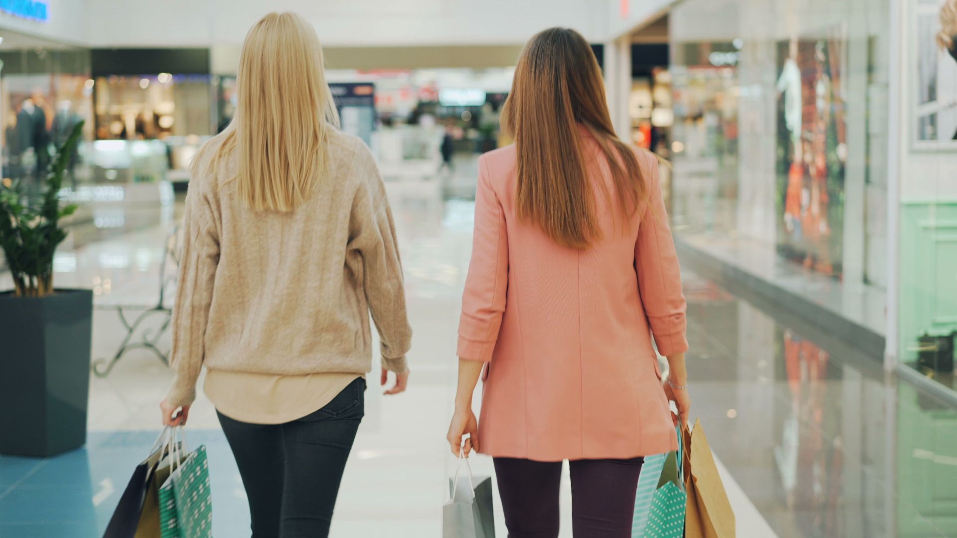 Two women walking in a mall holding shopping bags, back view.