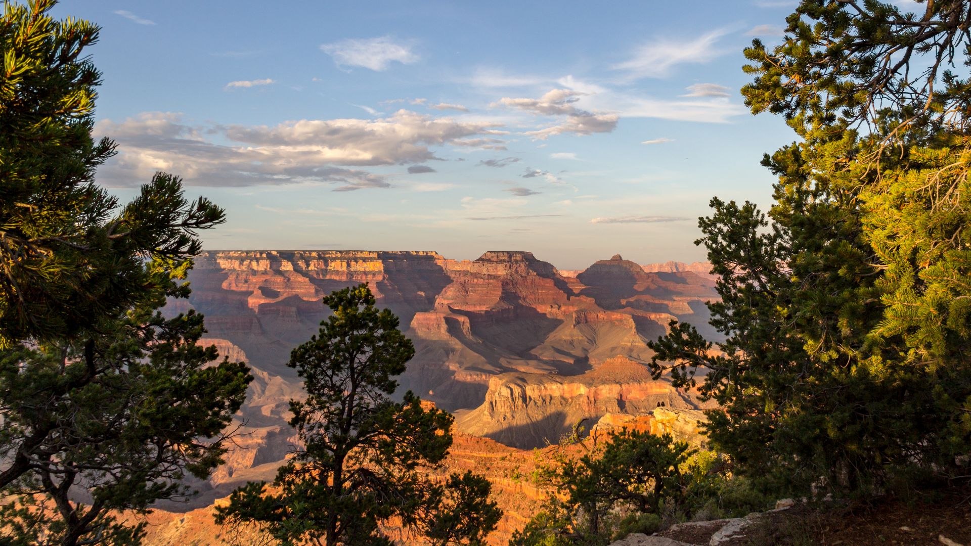 South Rim near Tusayan, Grand Canyon National Park, Arizona, USAGrand Canyon National Park in the US state of Arizona was declared a national park in 1919 and is one of the most famous protected areas in the USA. As early as 1908, President Theodore Roose