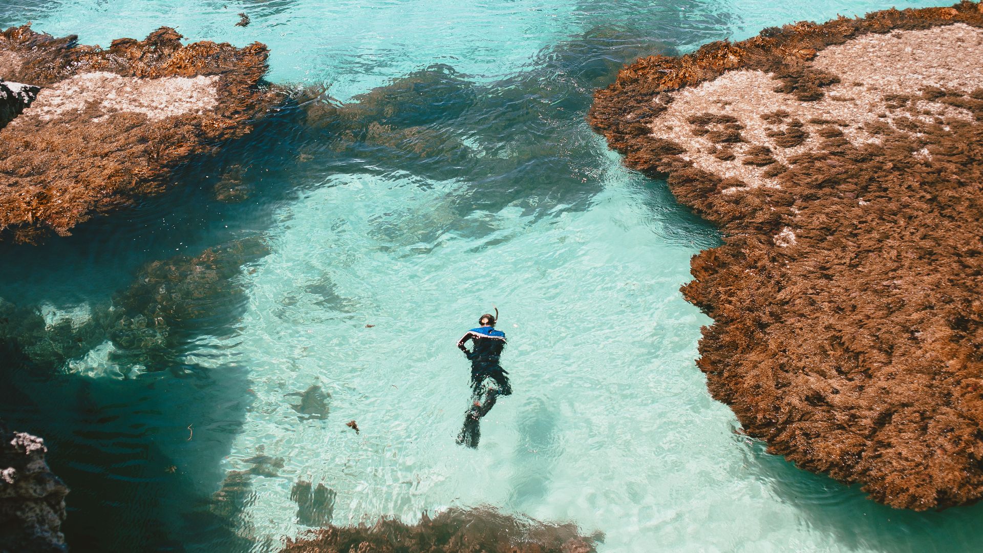 A lone snorkeler glides through clear turquoise waters over a lush coral reef, captured in a stunning aerial view.