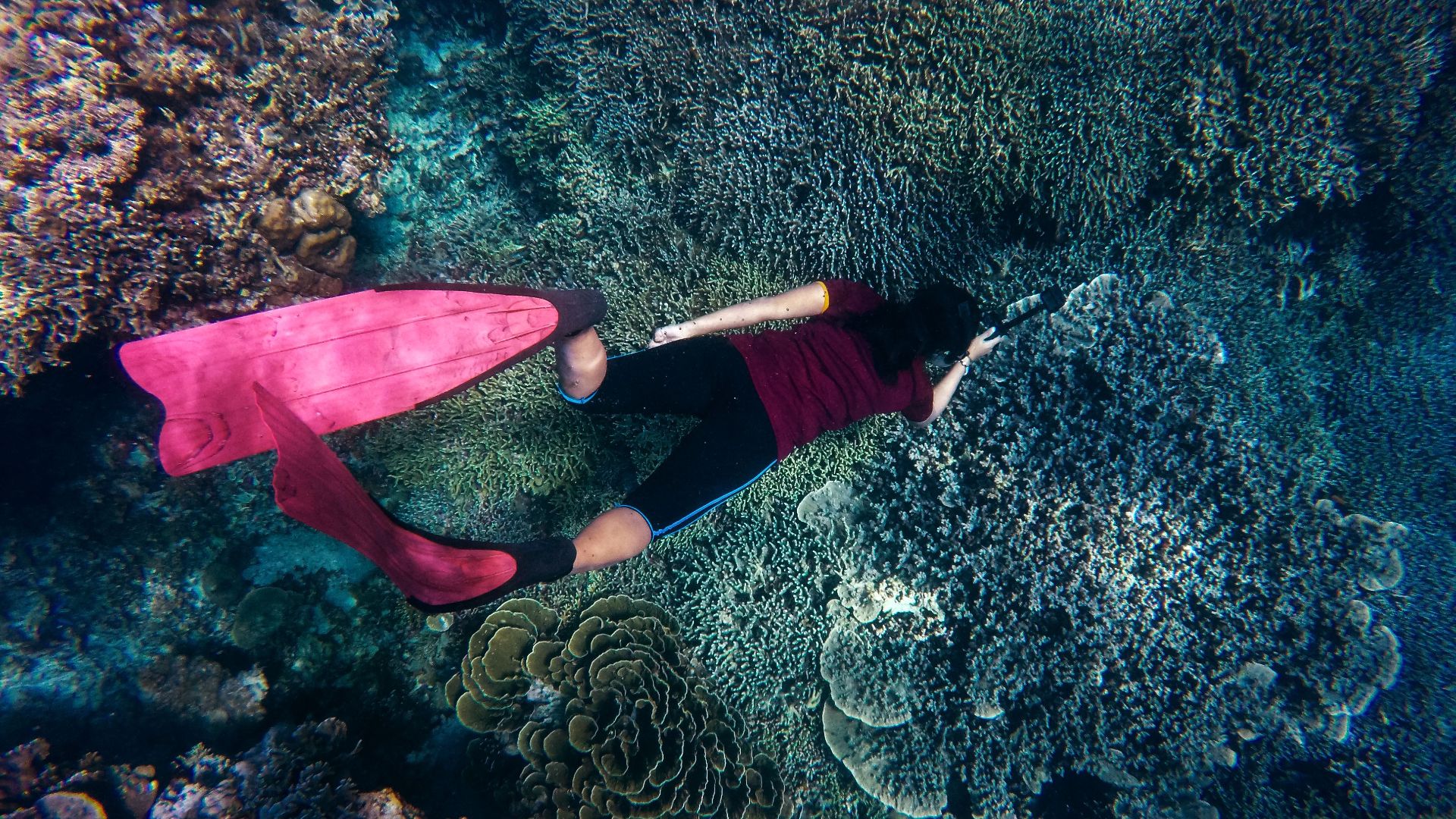 A freediver explores colorful coral reefs with pink fins in clear ocean water.