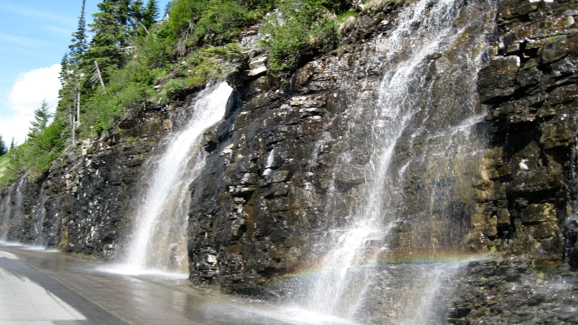 Weeping Wall on Going-to-the-Sun Road, Glacier NP