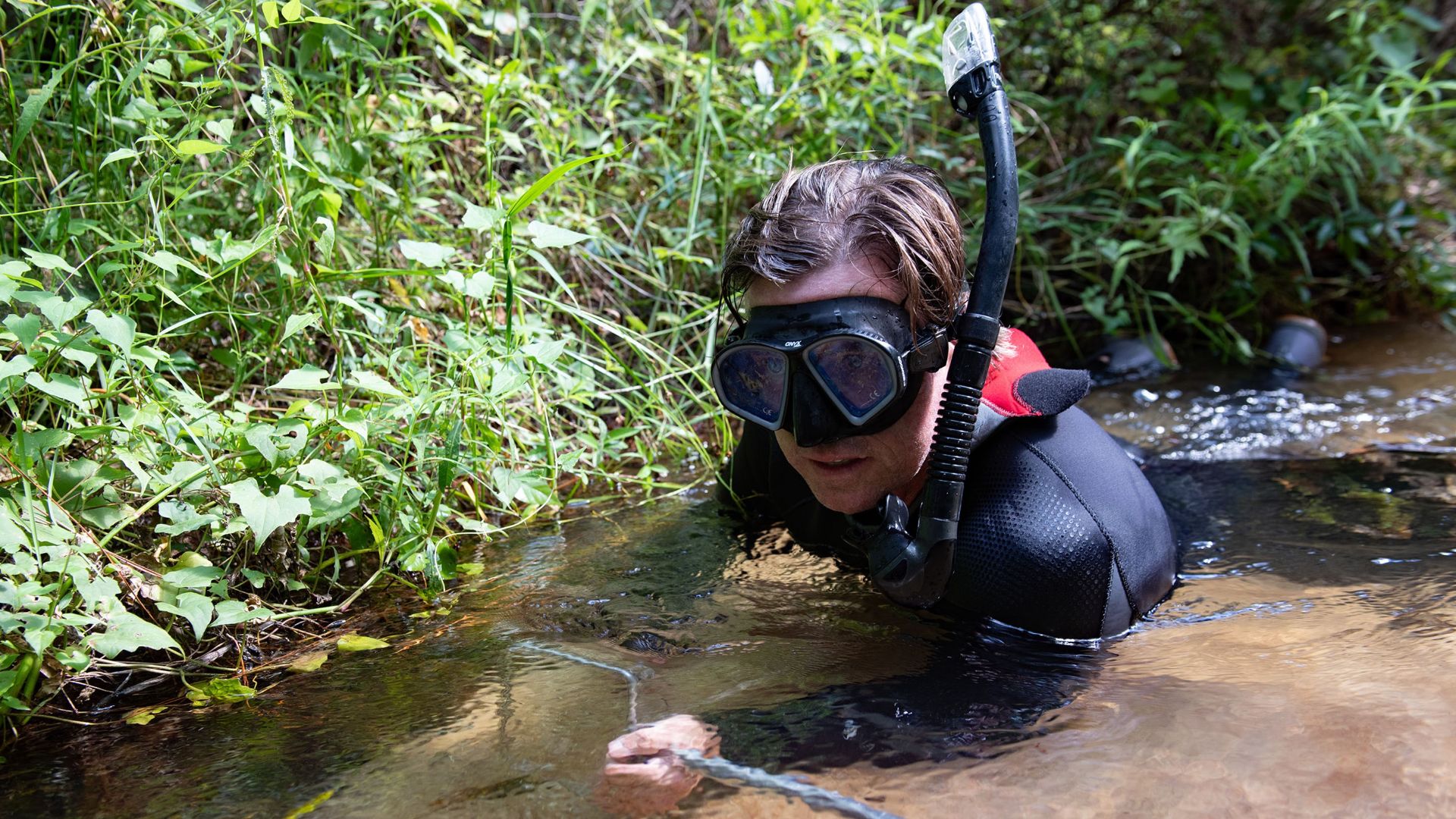 Bill Tate, U.S. Fish and Wildlife Service fish biologist, catches an Okaloosa darter in a stream Aug. 2, 2023, at Eglin Air Force Base, Fla. The small fish, whose habitat is almost exclusively on the Eglin AFB ranges, became the first fish on Department o