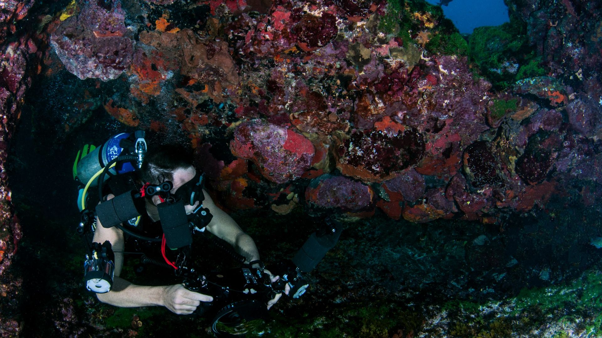 Diver photographing vibrant coral reef underwater. Captivating marine life exploration scene.