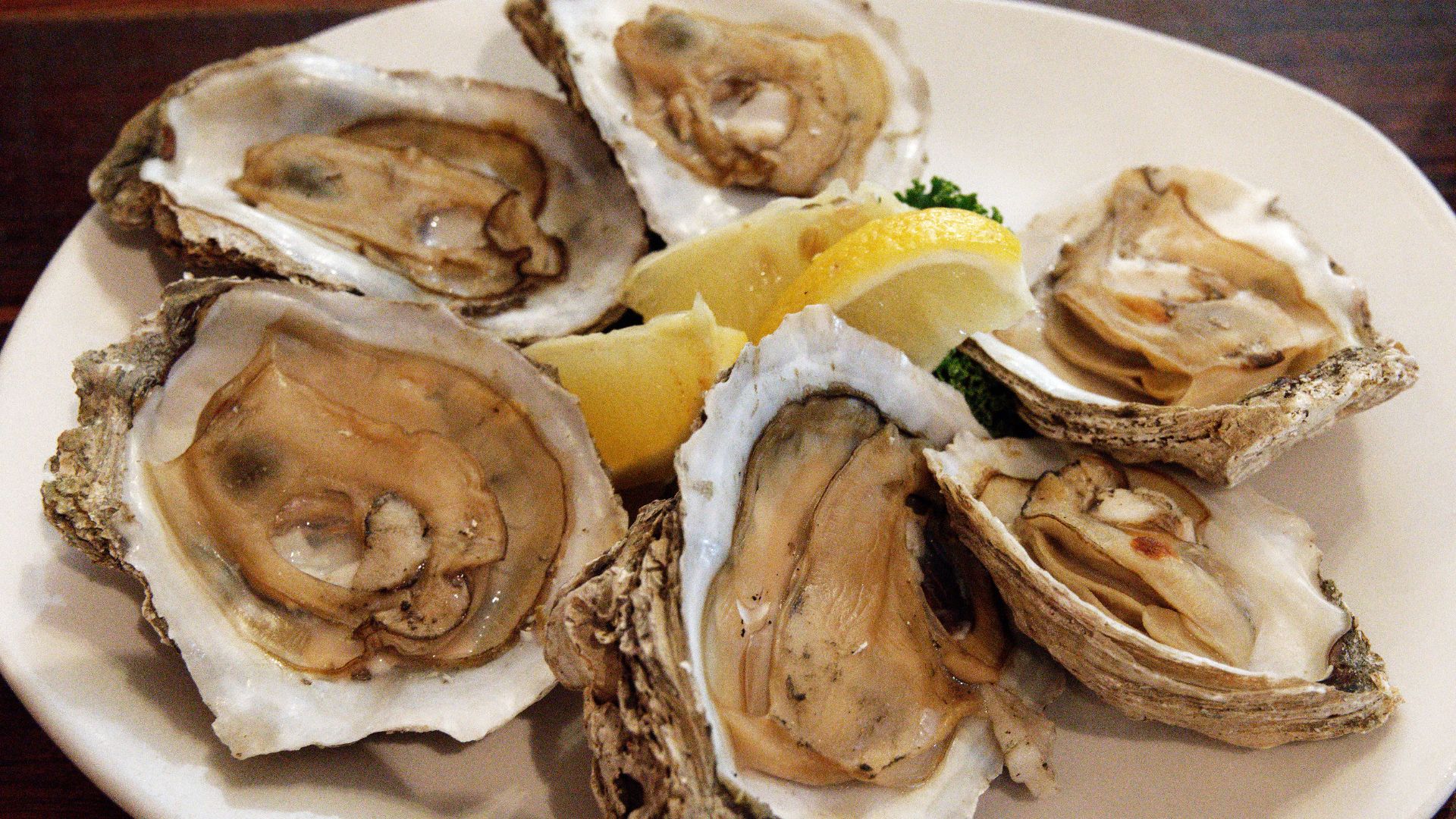 A plate of xix steamed oysters on the half shell, in St. Marys, Georgia, US