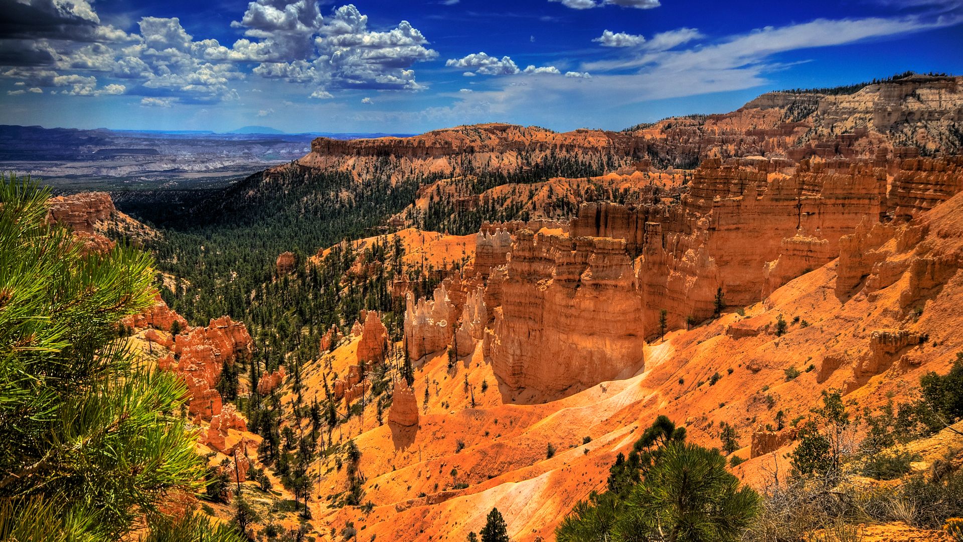 Bryce Canyon National Park, Utah : The colors...