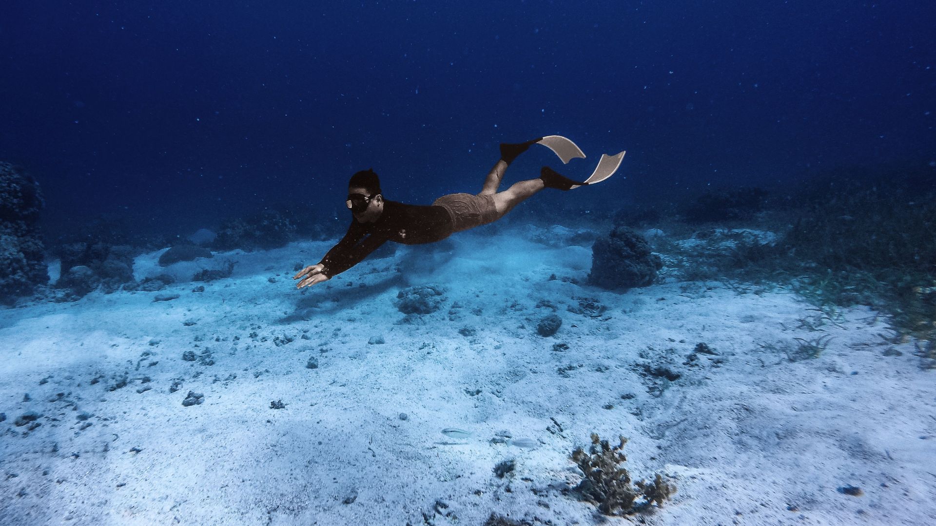Underwater photograph of a snorkeler exploring the seabed with fins and mask.