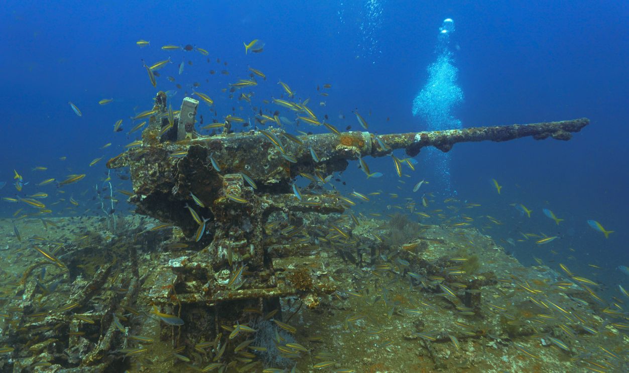 Underwater photography of a gun, canon, weapon at the US Navy Prab Military shipwreck at Chumphon Marine Park in Thailand.