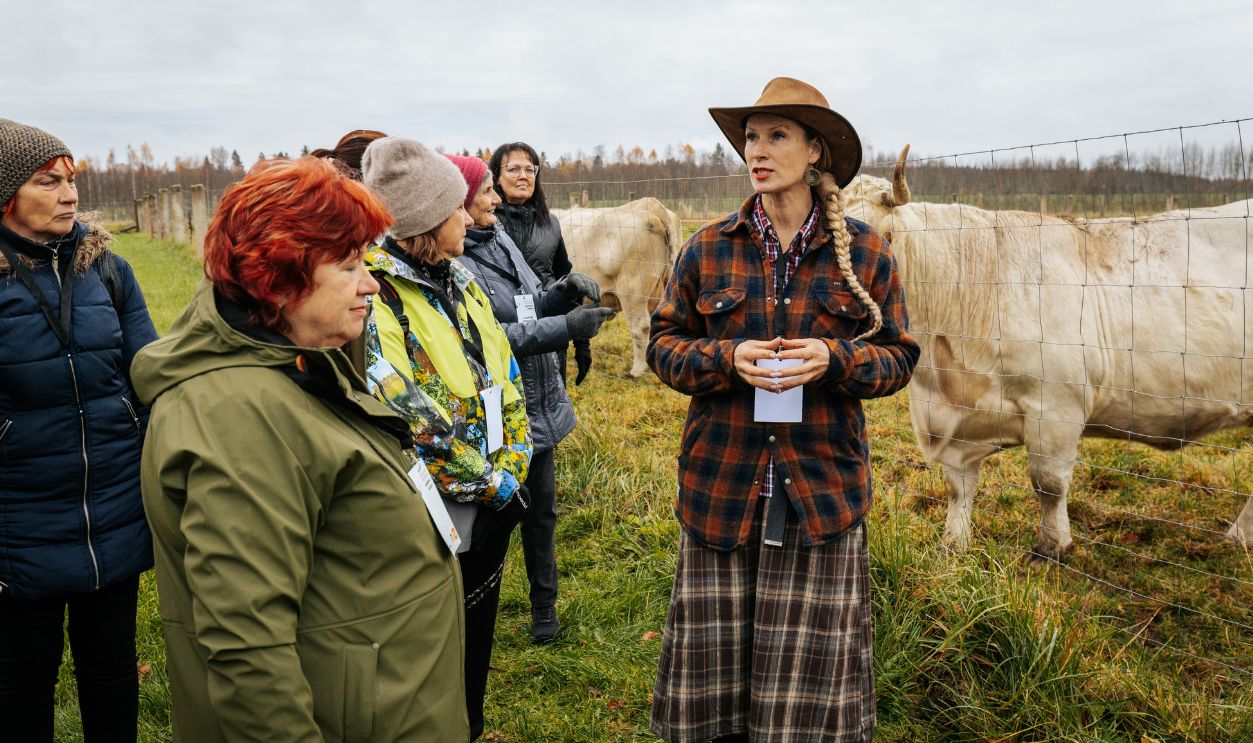 A group of visitors listens to a guide speaking in front of a pasture with white cattle behind a fence. The guide, dressed in rustic outdoor clothing.11.01. 2025 Brenguli, Latvia
