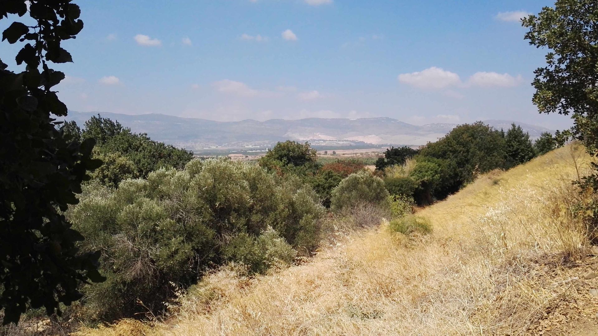 Tel Dan archaeological site, Israel.