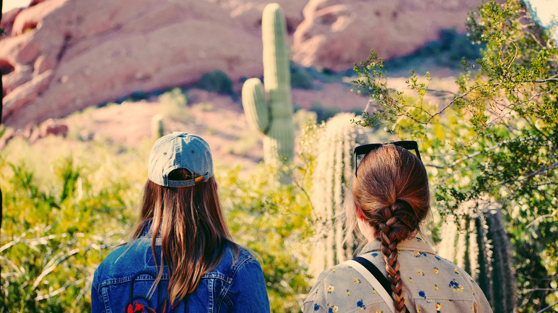 Two women observe desert landscape with saguaro cactus