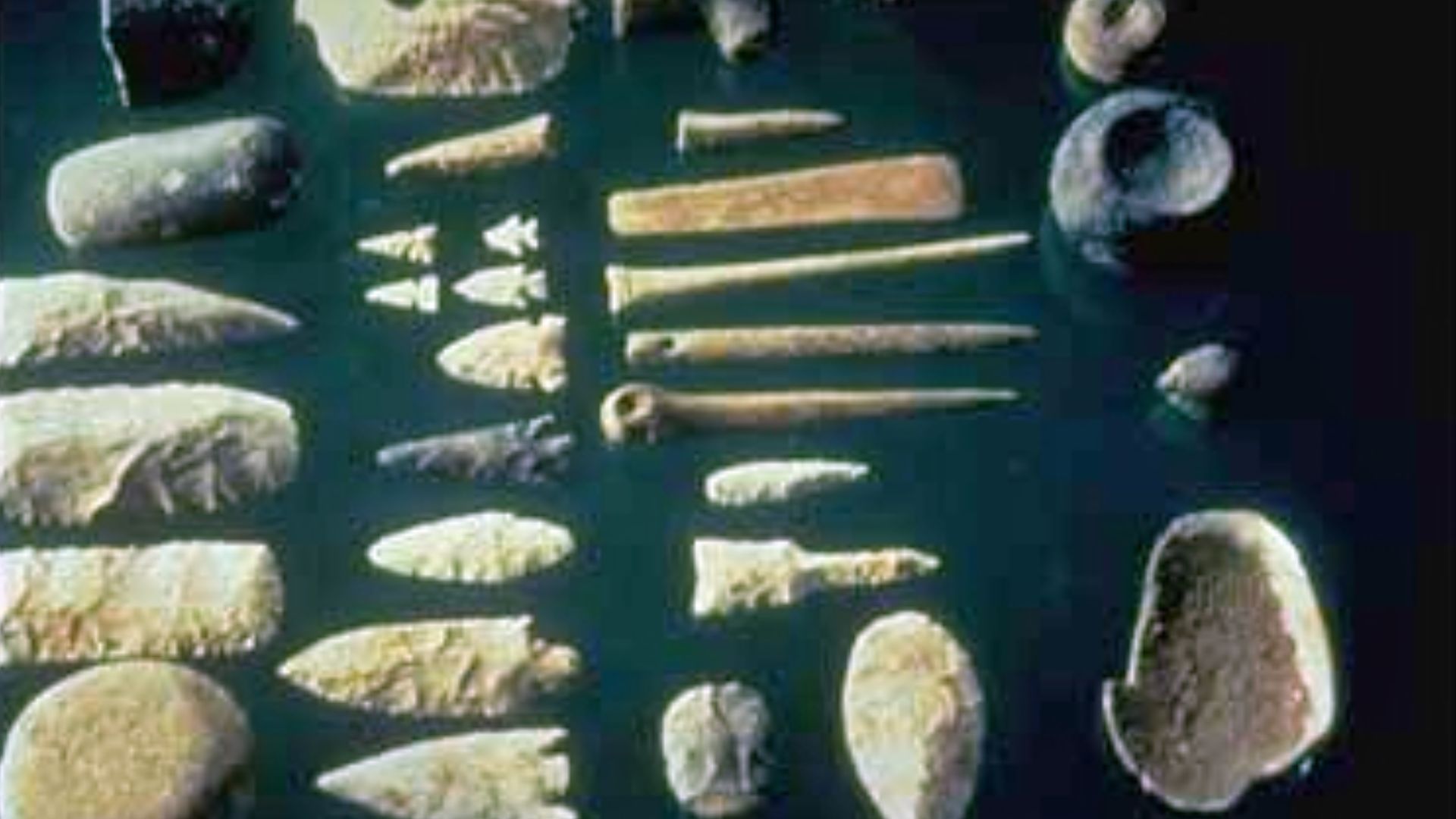 A variety of tools made of mussel shells.[1]