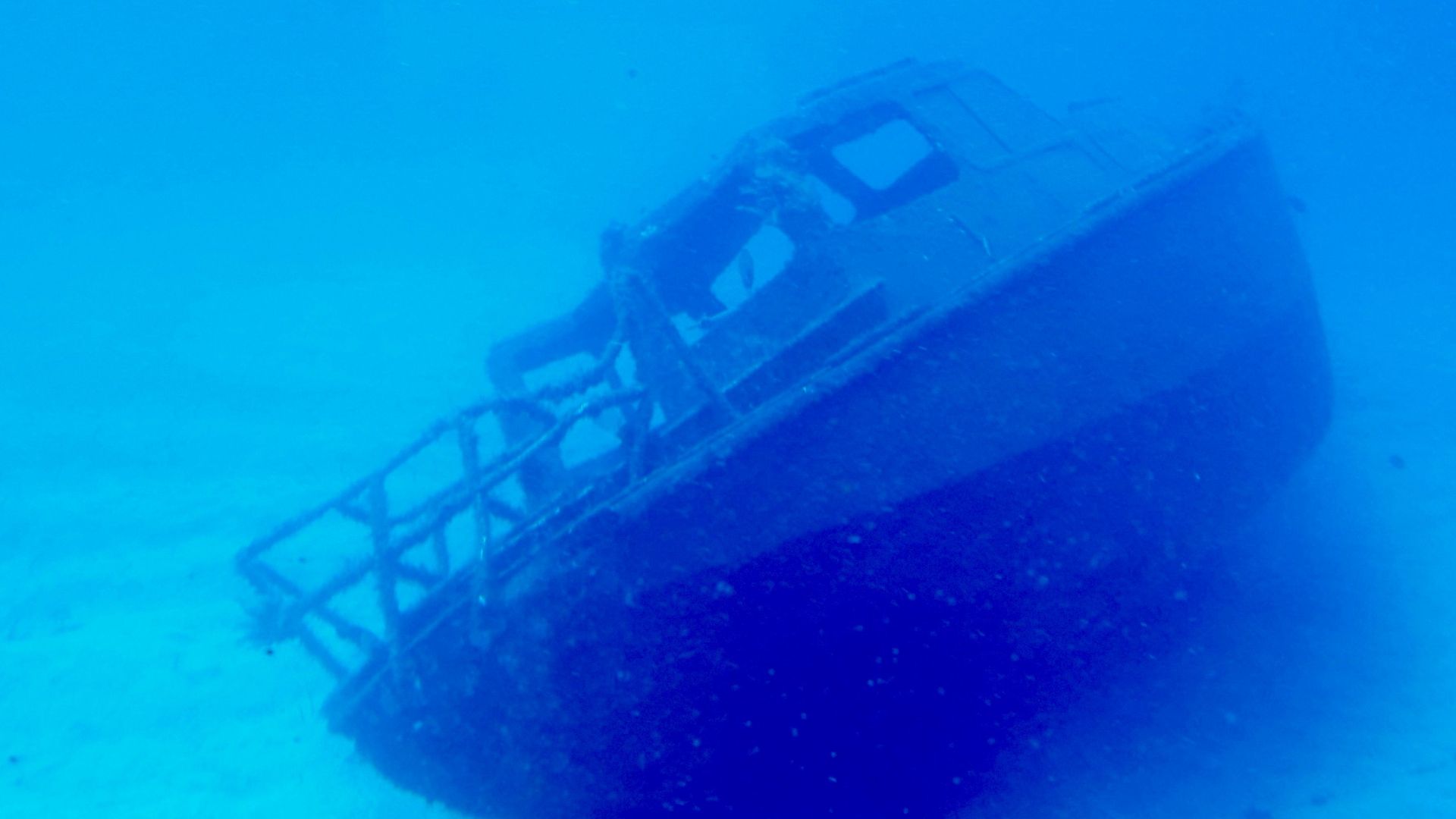 A submerged shipwreck resting on the ocean floor, surrounded by clear turquoise waters.