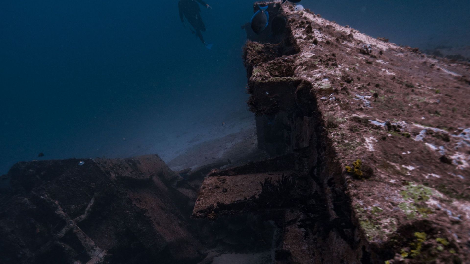 Divers explore a historic shipwreck deep underwater, showcasing marine life.