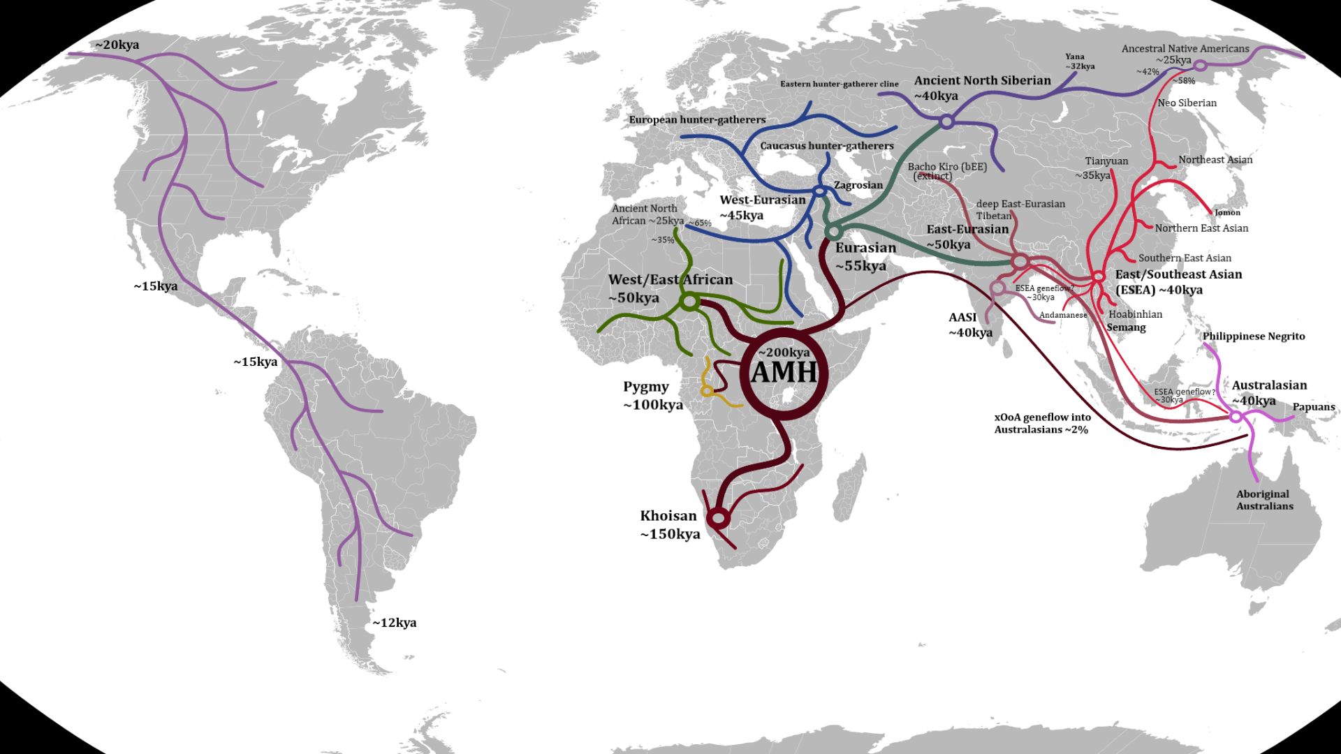 This map shows the human migration routes and proposed split/arrival times, after the Out-of-Africa event.