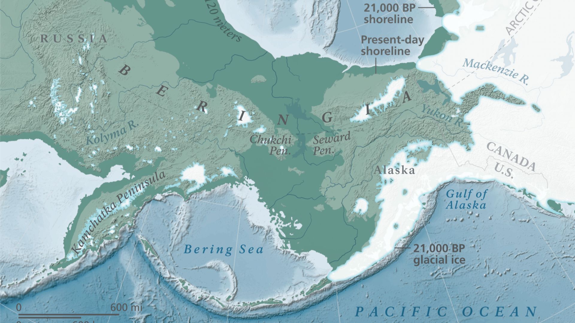 This map, published by the U.S. National Park Service, illustrates the hypothetical land bridge thought to have existed between Asia and North America circa 21,000 years before present, during the Last Glacial Maximum.
