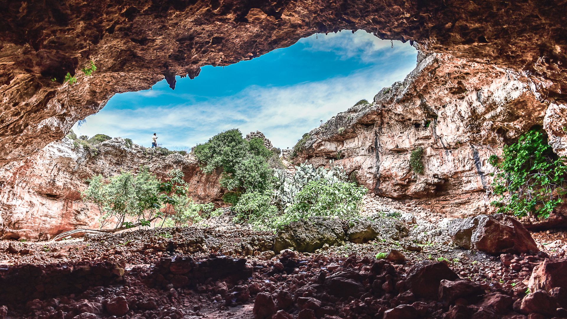 The enormous half covered cave.