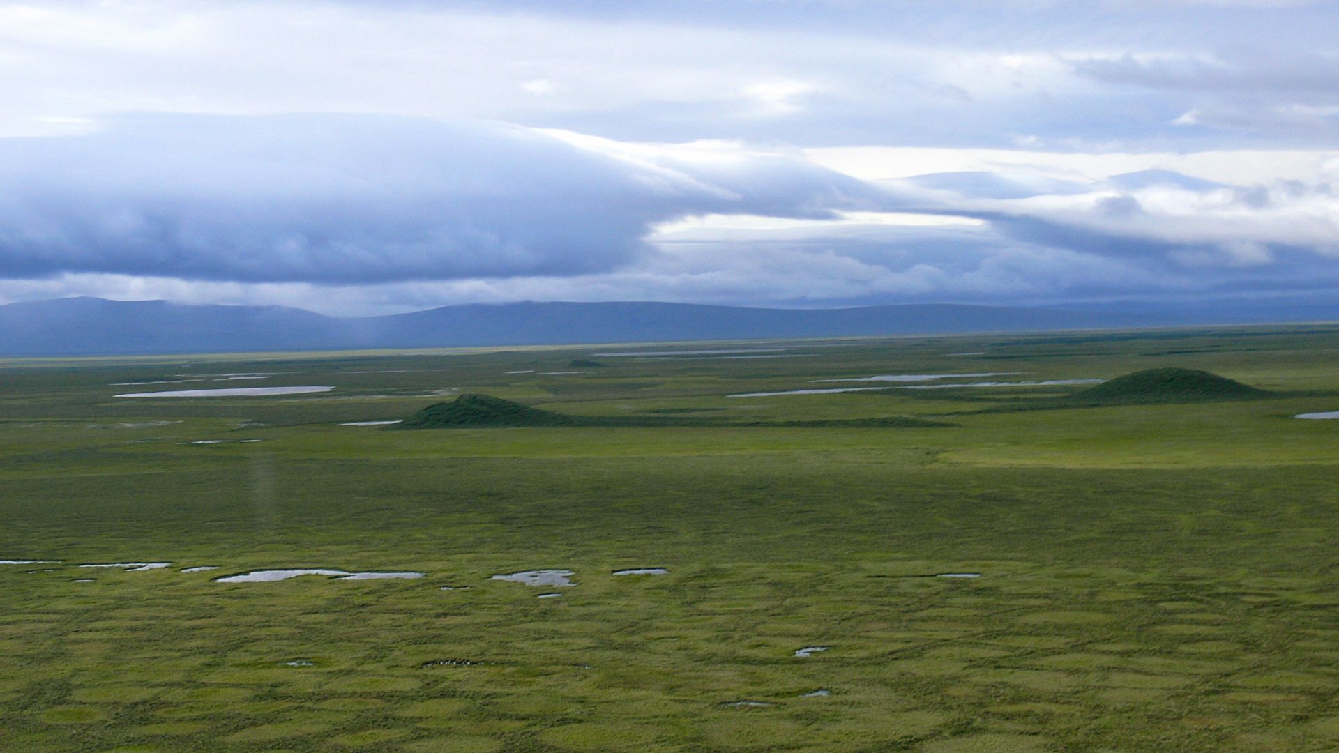 Unique arctic landforms are found in Bering Land Bridge National Preserve. Pingos (the hill like structures) are actually formed by water and permafrost. Tundra polygons, or patterend ground, are also characteristic of periglacial environments.