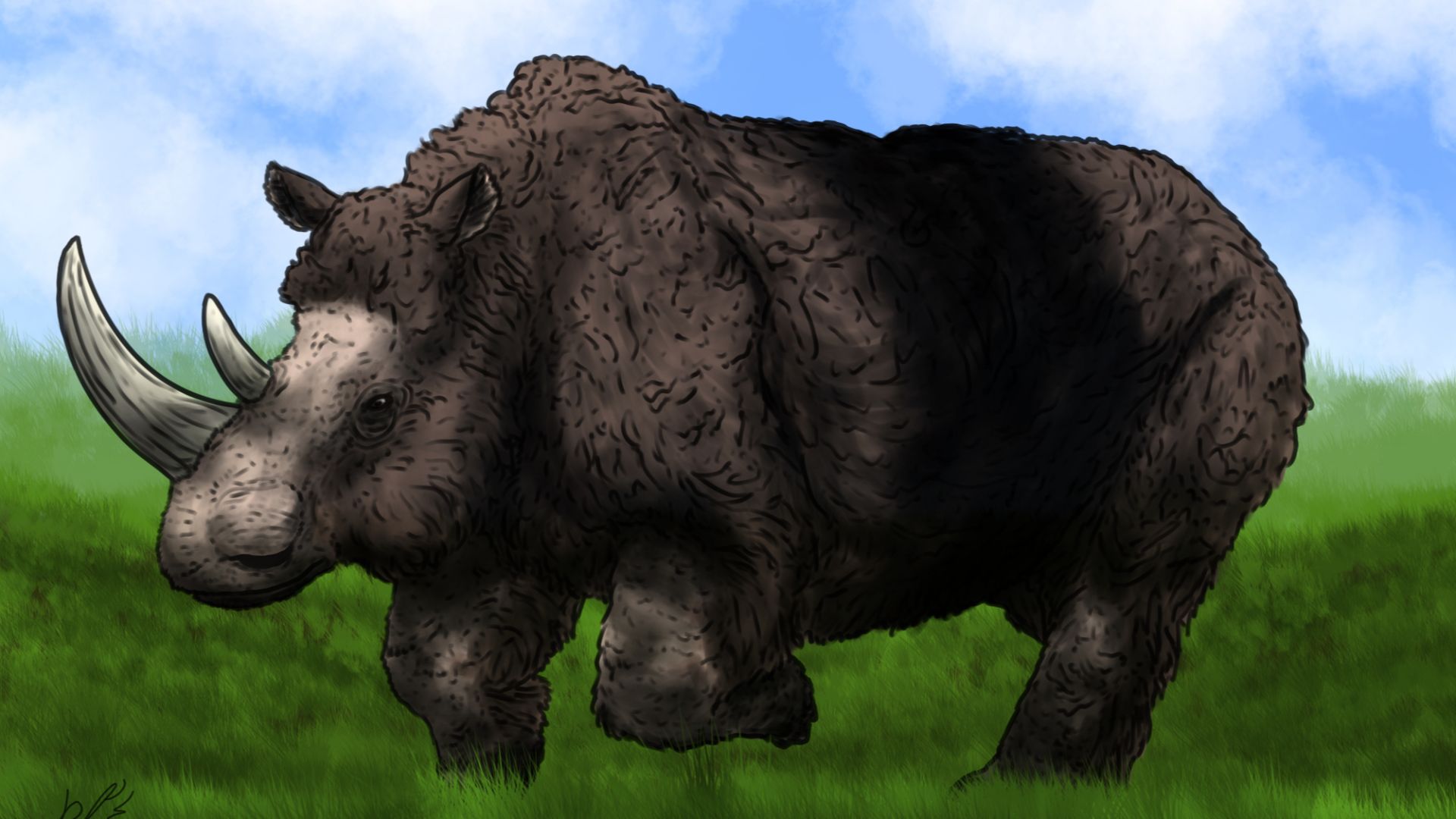 Coelodonta antiquitatis, aka a very furry Sumatran rhinoceros of the steppes of Eurasia