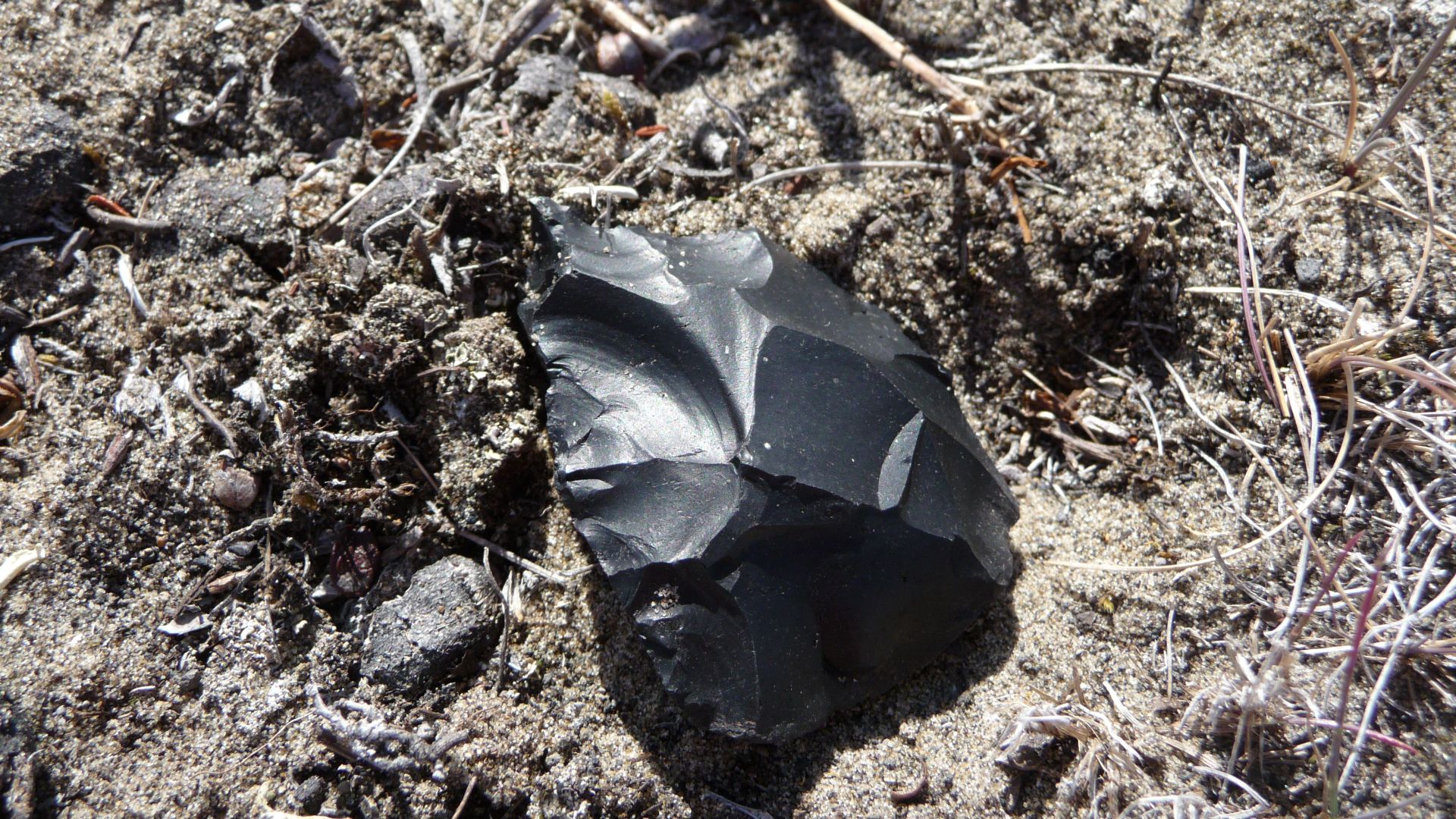 Bering Land Bridge National Preserve is host to a large number of archaeological sites. The Preserve was set aside in part to preserve these sites and the history of the region known as Beringia. A land bridge was at several times present between Alaska a