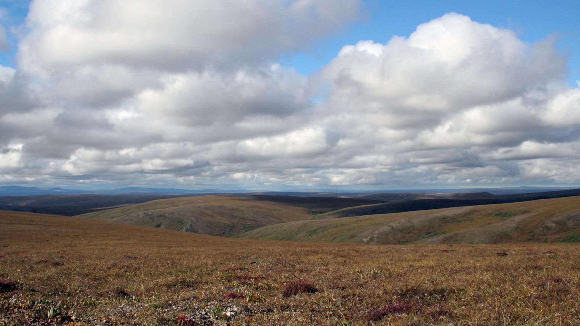 Bering Land Bridge National Preserve, Cottonwood Creek, Alaska. The autumn tundra rolls across the landscape of into the distance as silent white clouds glide through a blue sky overhead.