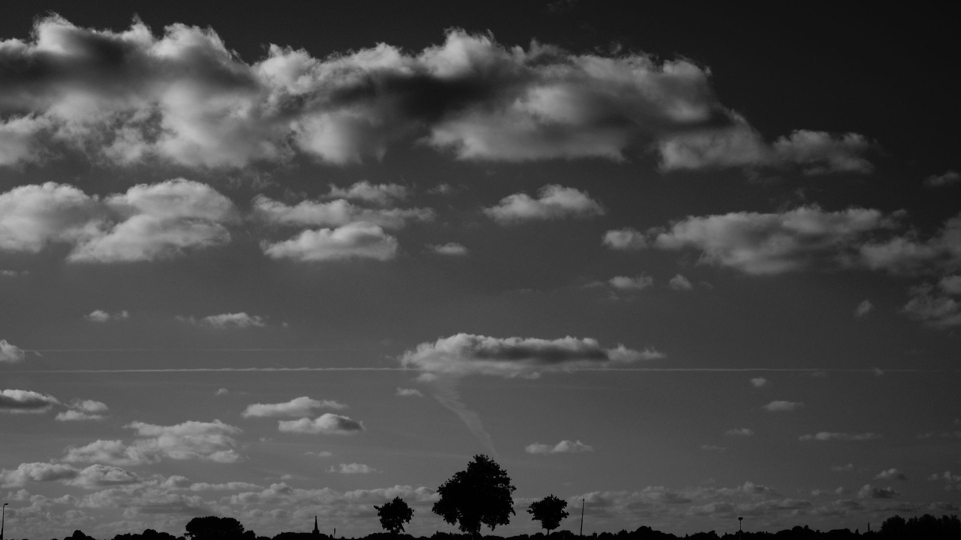 Monochrome landscape with dramatic clouds and tree silhouettes.