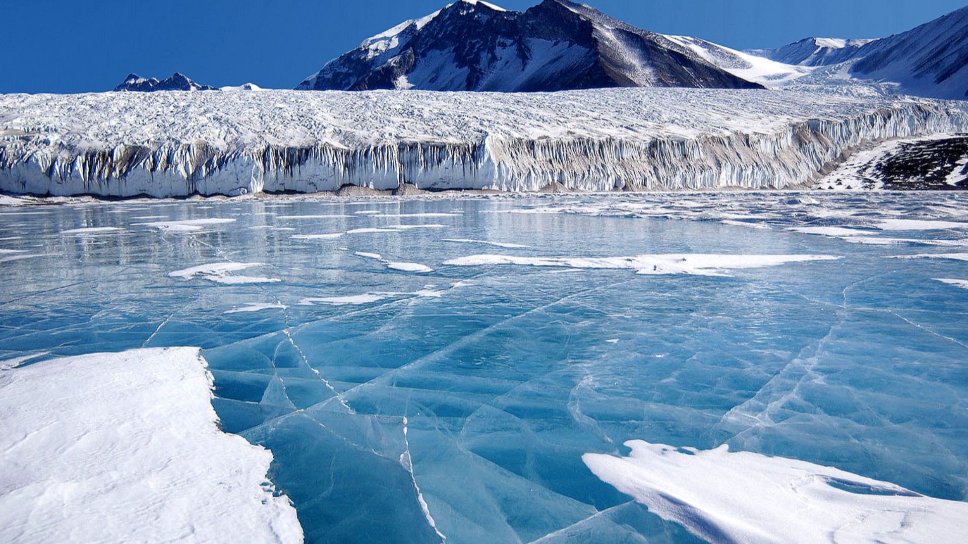 Antarctica: The blue ice covering Lake Fryxell, in the Transantarctic Mountains, comes from glacial meltwater from the Canada Glacier and other smaller glaciers. The freshwater stays on top of the lake and freezes, sealing in briny water below.