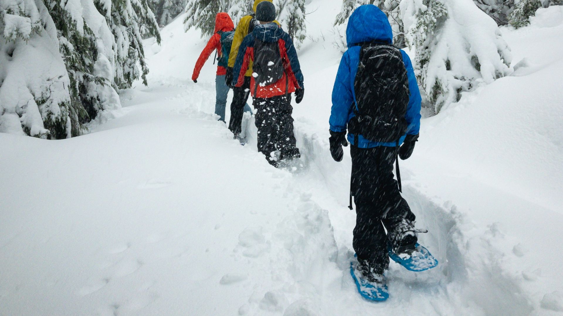 four person walking on snow field