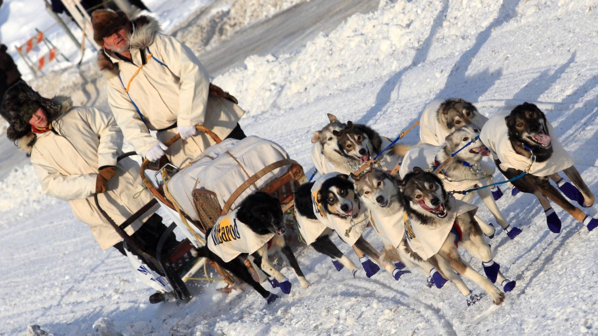 I took these photos on 8 March 2009 at the ceremonial start of the Iditarod sled dog race in Anchorage, Alaska. This was the 37th running of The Last Great Race. I get a thrill out of each race - the dogs were born to run and it is another thing that make