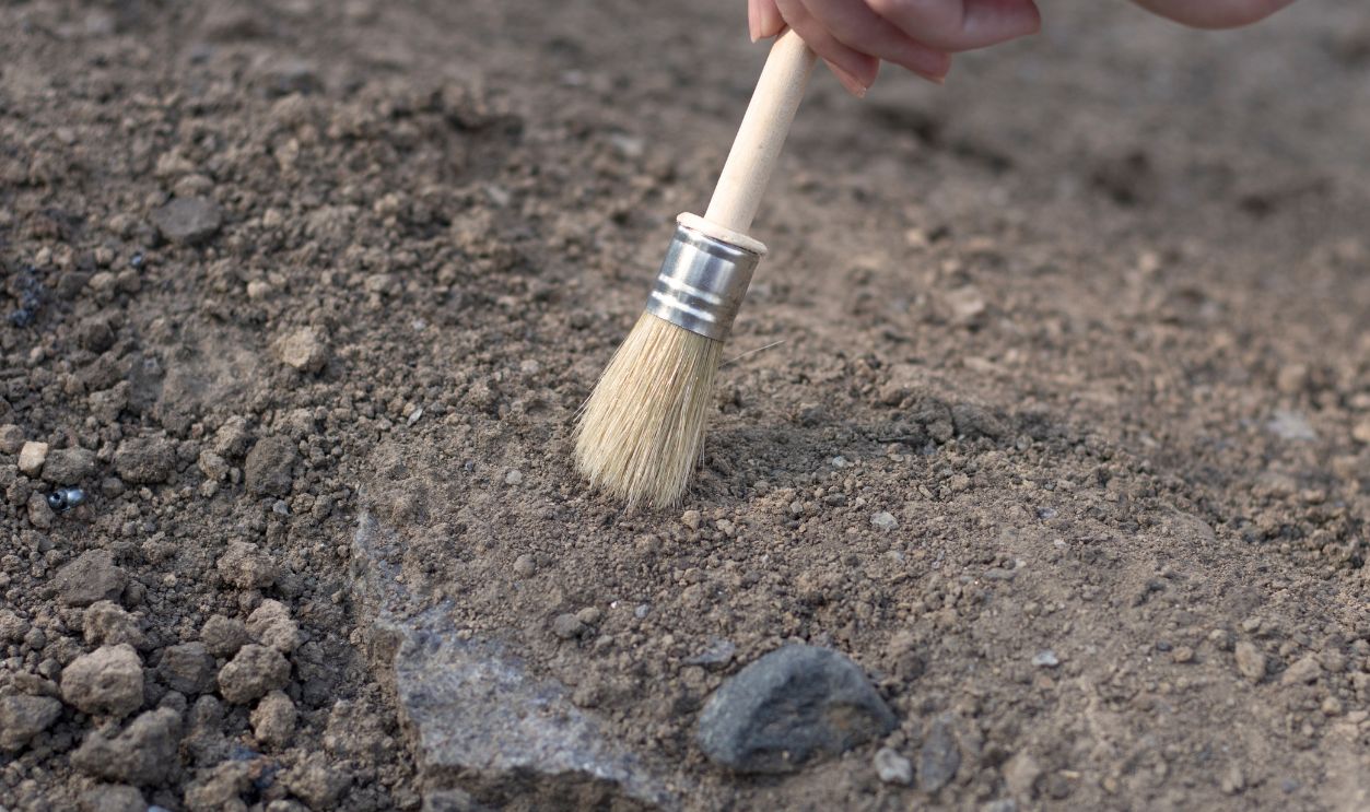 Shutterstock-1168013266, archeology female hand holds a tassel excavation of rare materials treasure hunt and archeology find rare resources