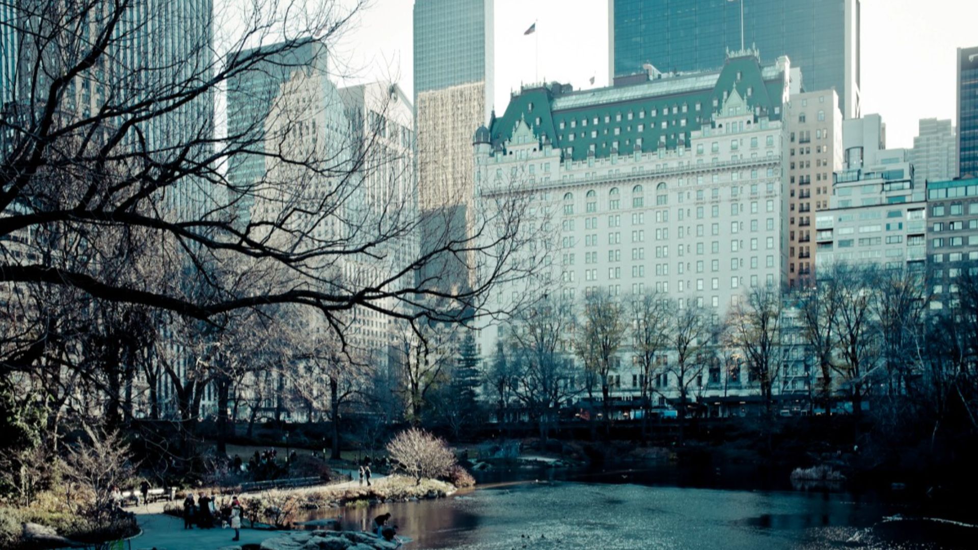 Plaza Hotel, Fifth Ave. and Fifty-ninth St. New York
