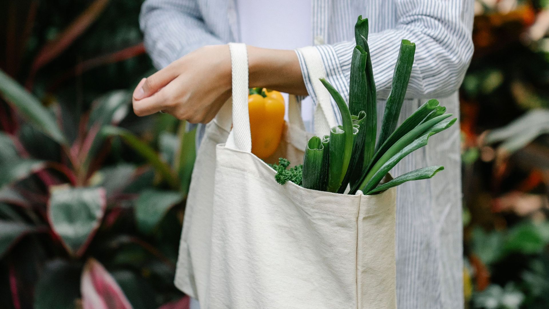 Crop happy female wearing casual clothes carrying textile bag with ripe fresh vegetables in lush summer garden