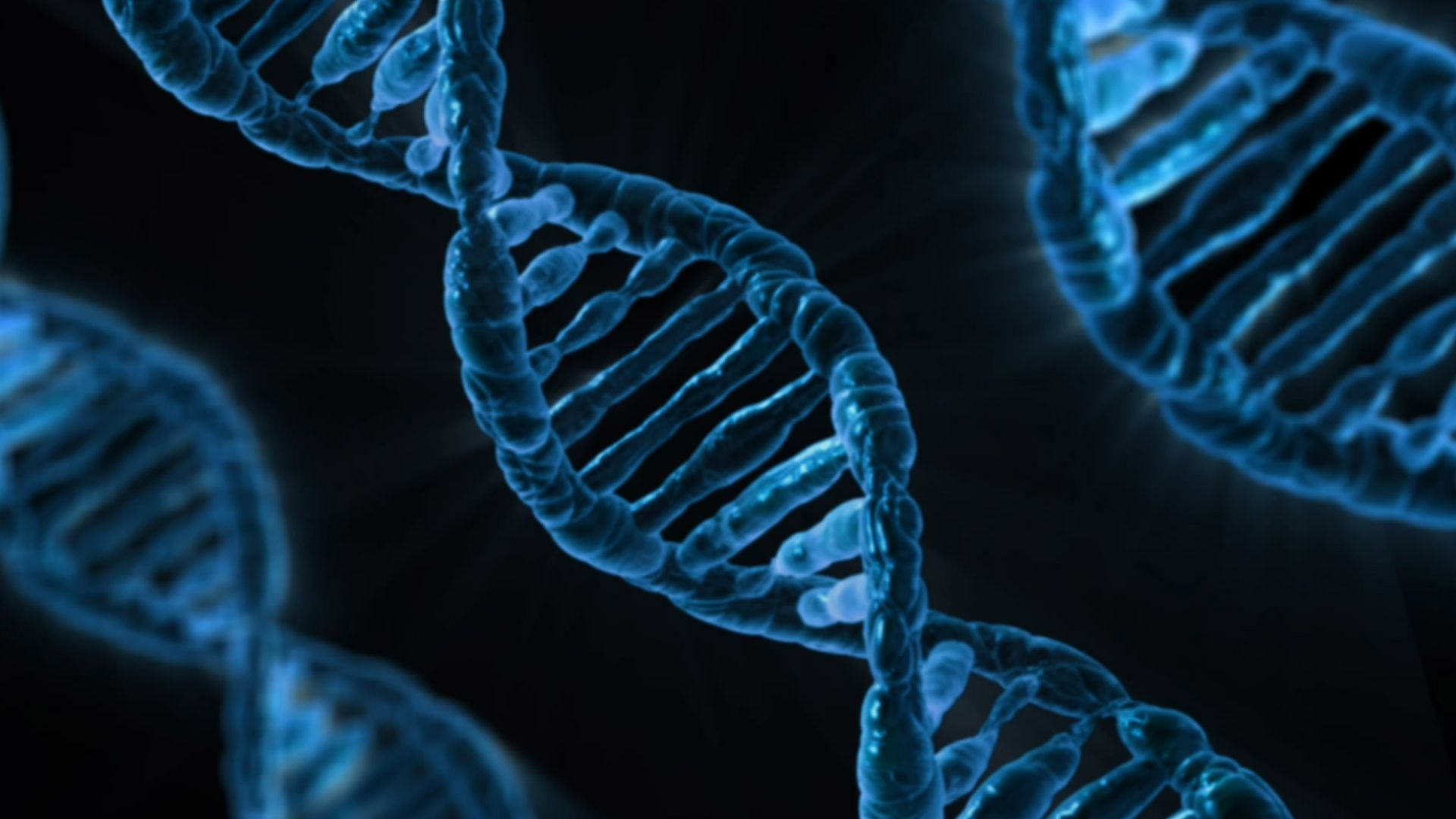 The human DNA model takes on a double helix shape