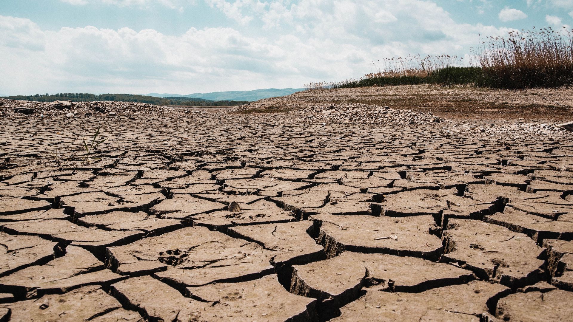 A stark landscape of cracked dry earth beneath a clear blue sky, depicting arid climate and drought.