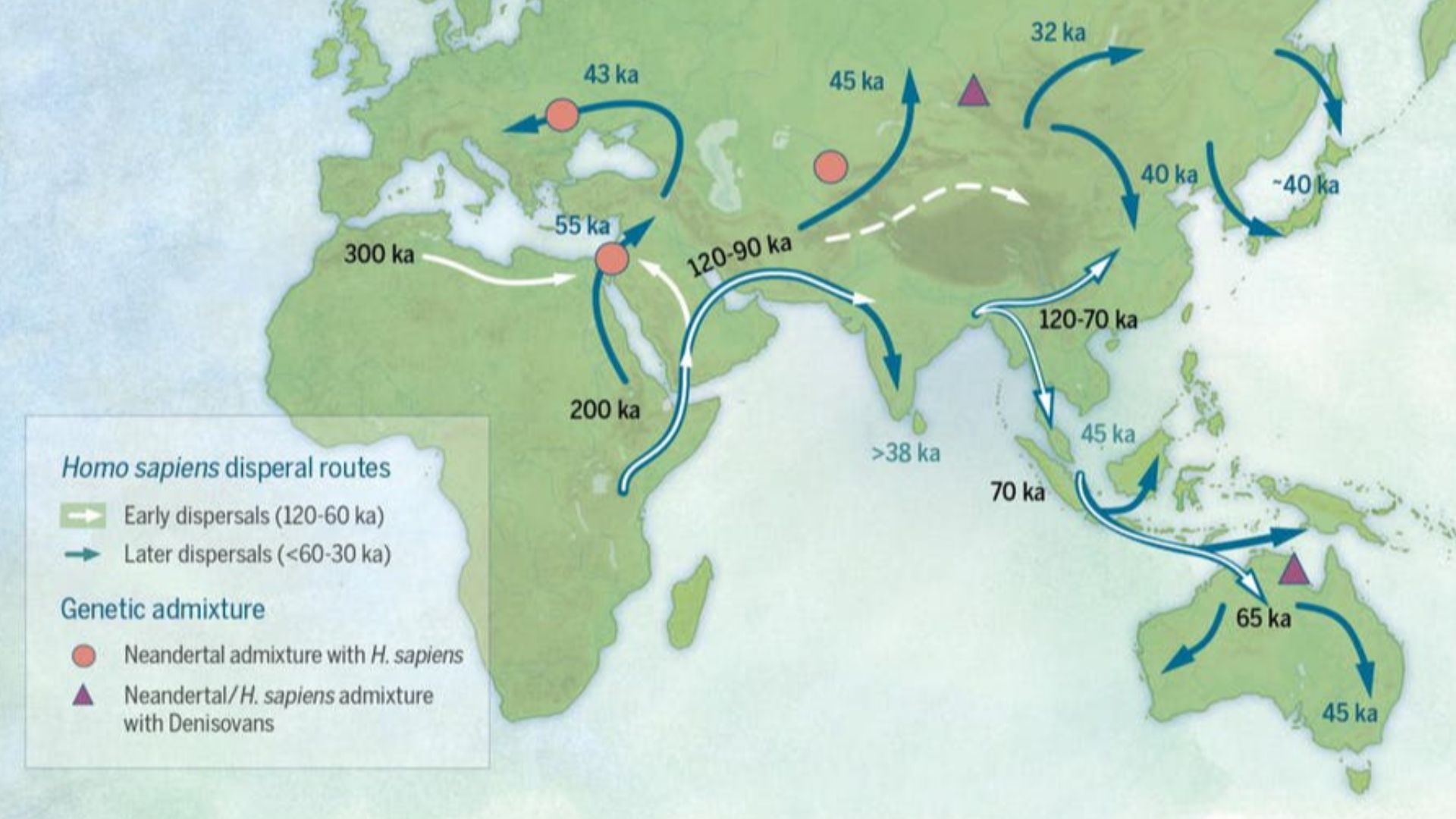 Map showing Homo sapiens dispersal routes dating from 120,000 years ago.