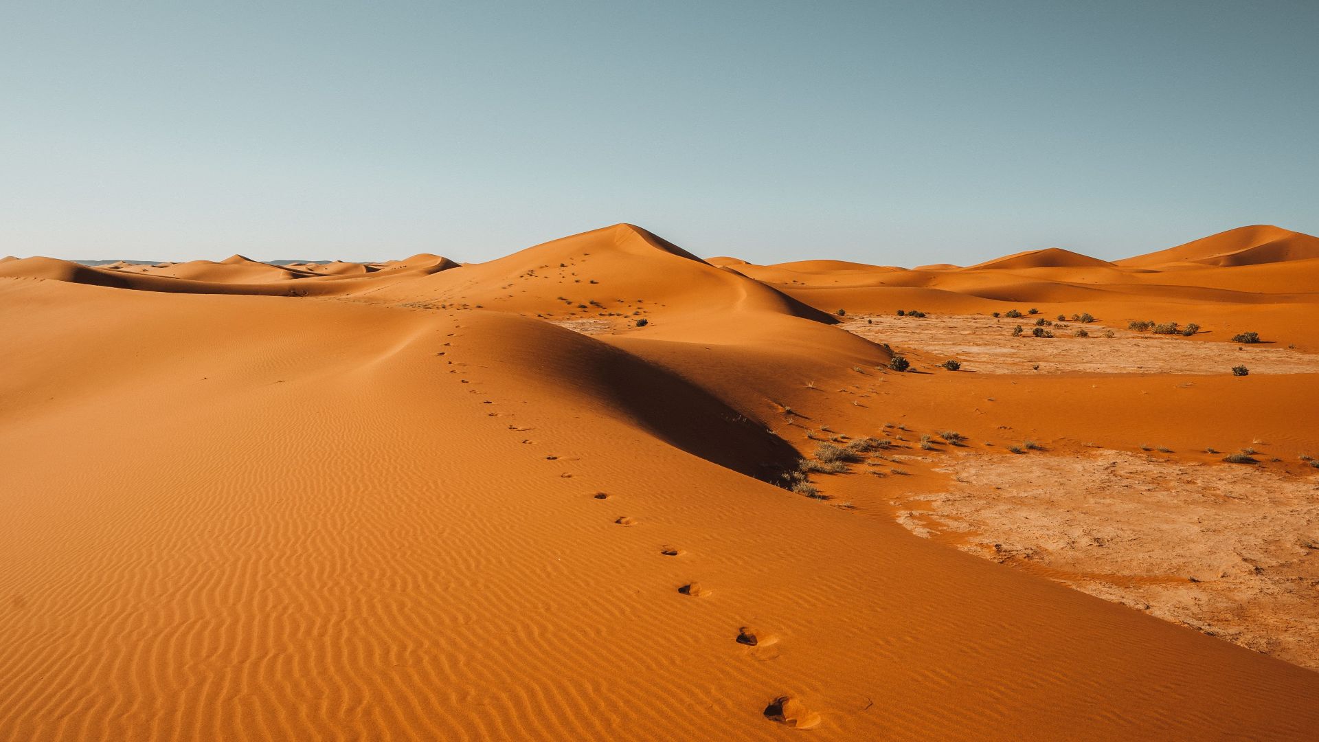 A breathtaking view of the Sahara Desert's sand dunes with clear sky in Morocco.