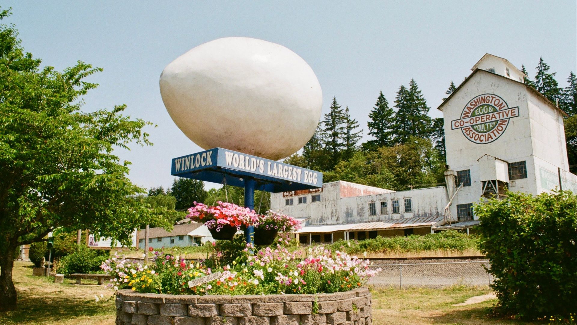 The iconic World's Largest Egg sculpture in Winlock, Washington on a sunny day.
