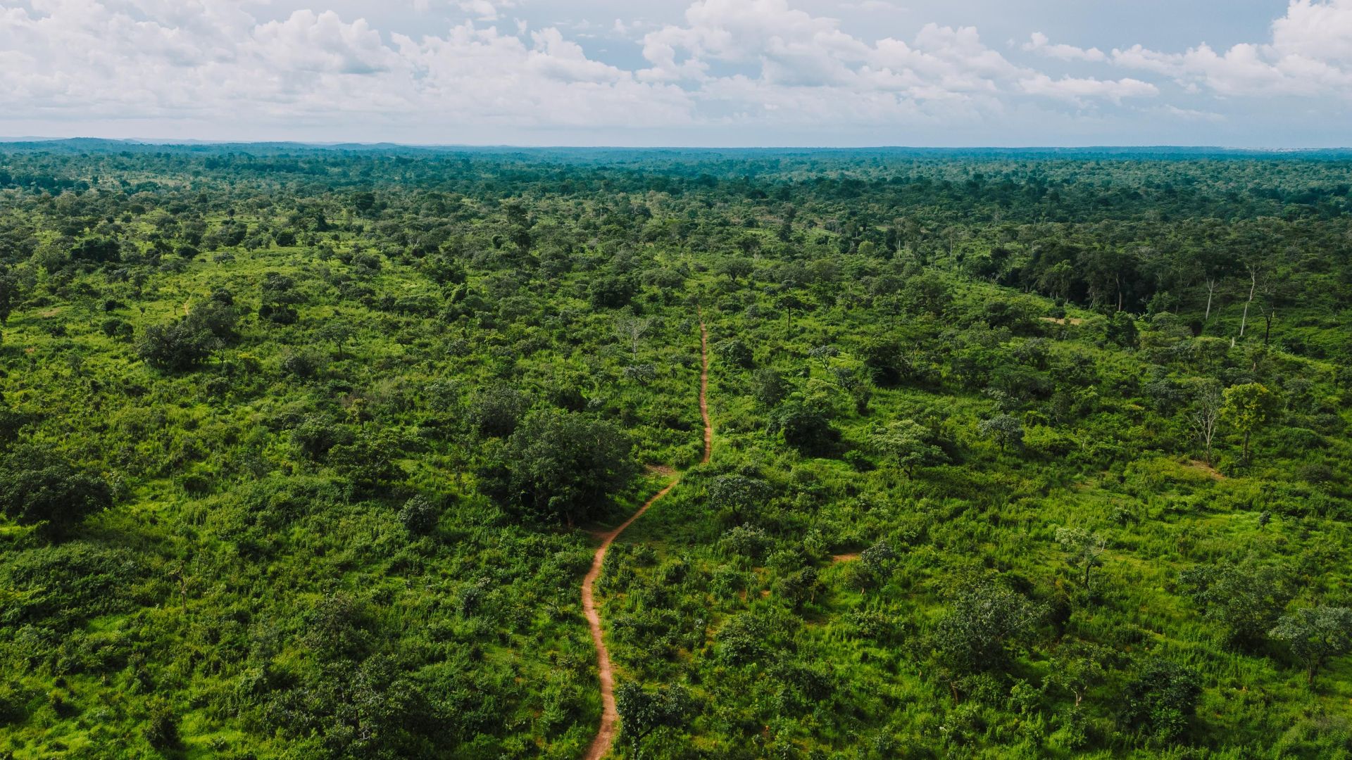 Aerial photograph of a lush green forest landscape in Gado-Badzéré, East Cameroon.