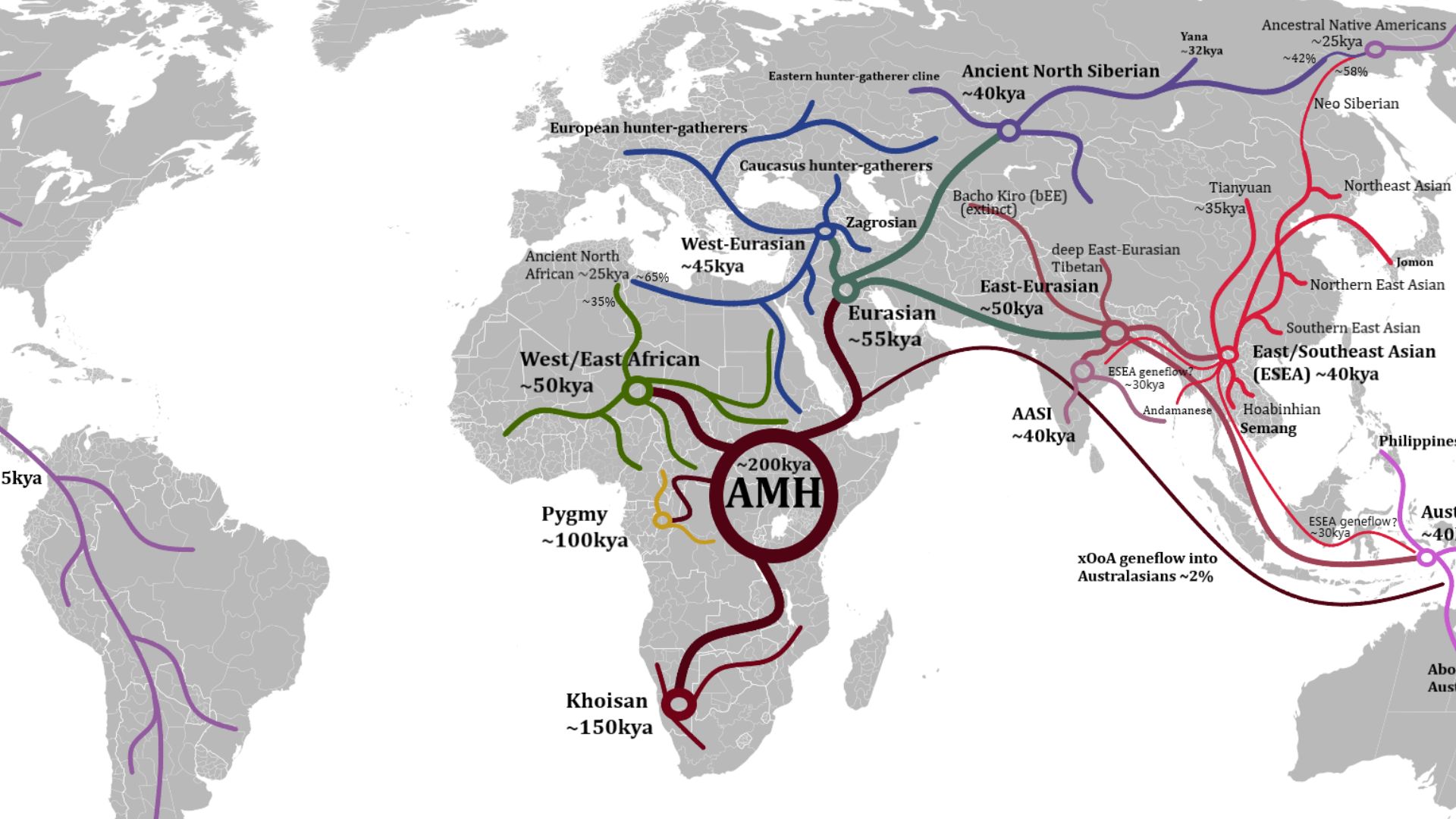 This map shows the human migration routes and proposed split/arrival times, after the Out-of-Africa event.