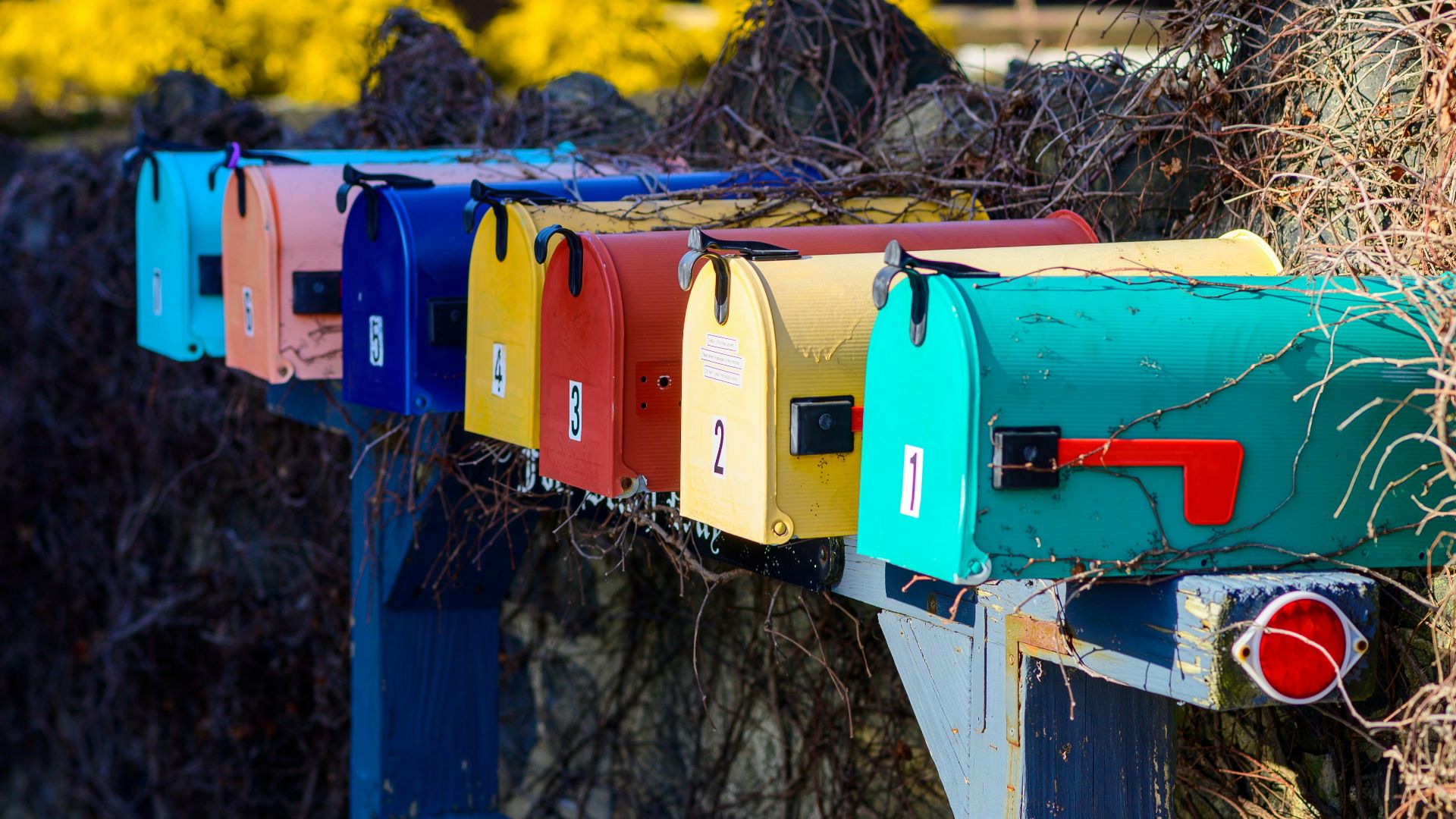 a row of colorful mail boxes sitting next to a bush