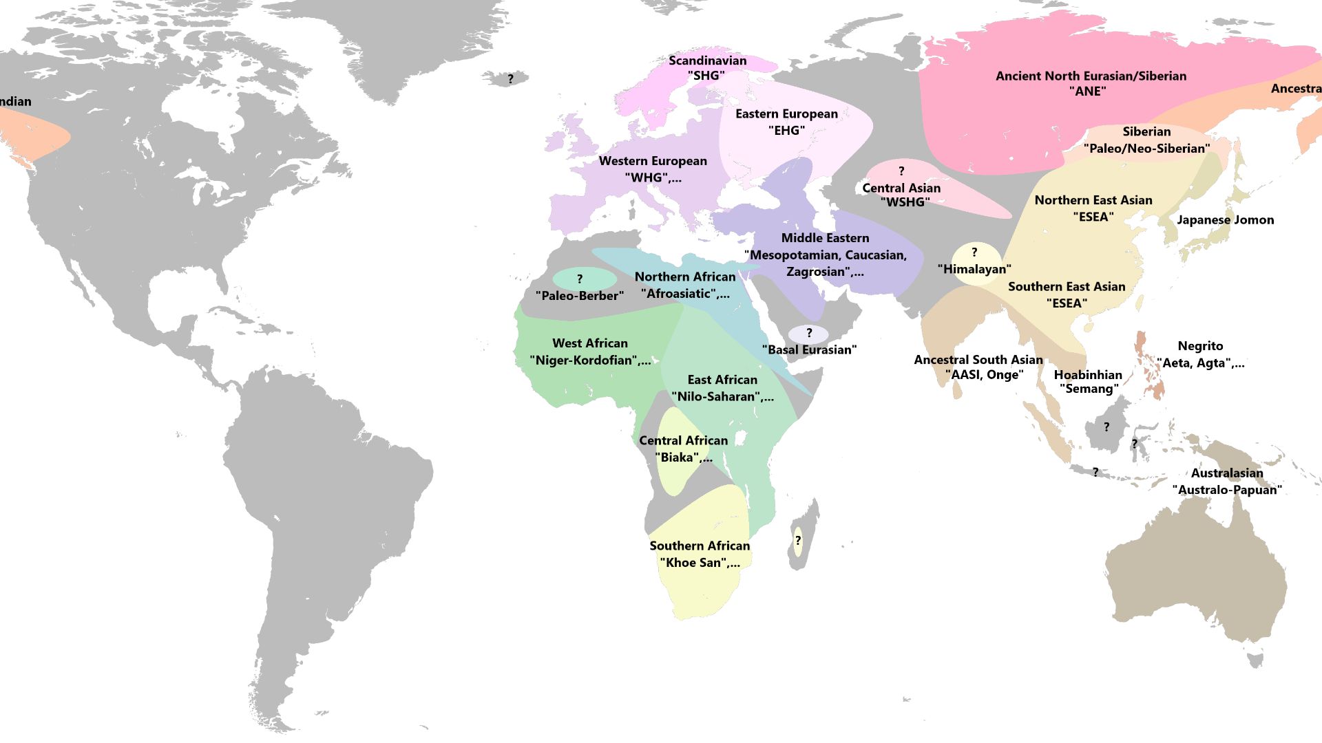 This map shows the ancestral population substructure (genetic lineages) of modern humans about 30-15kya. The shown ancestral components are each diverged from each other around ~30,000 years ago, and represent the specific ancestry found among modern popu