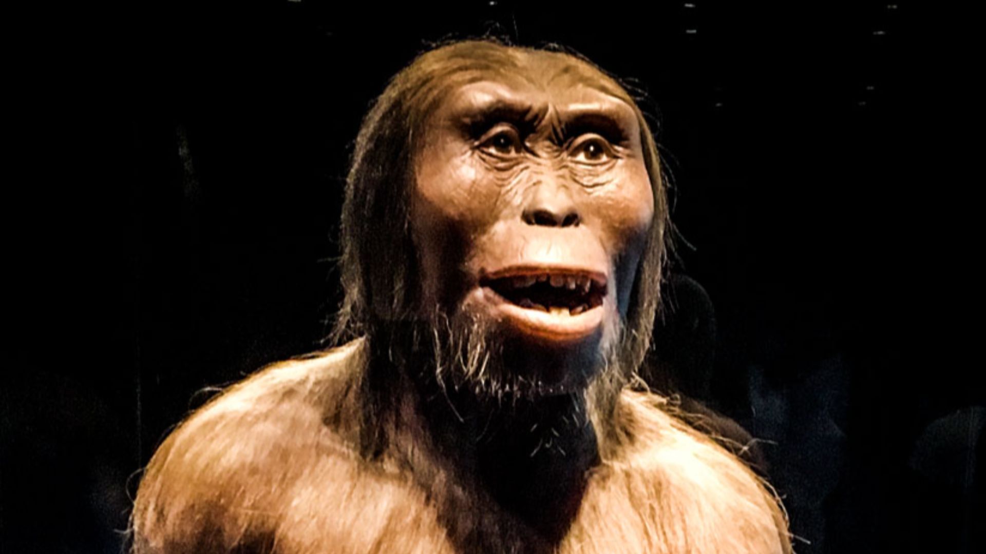 Cálida bienvenida al Museo de Antropología e Historia por parte de Lucy