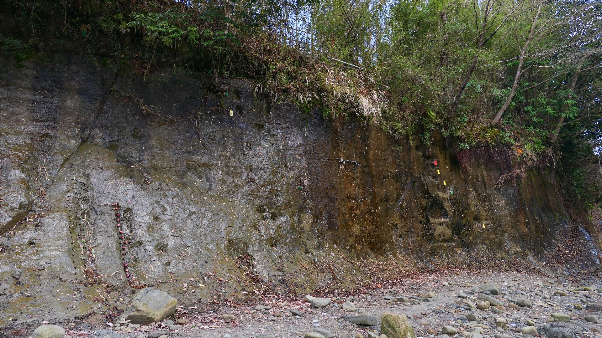The Chibanian stratum is located along the Yoro River in Ichihara City, Chiba Prefecture. There are stakes driven in various places indicating the reversal of the earth's magnetic field.
