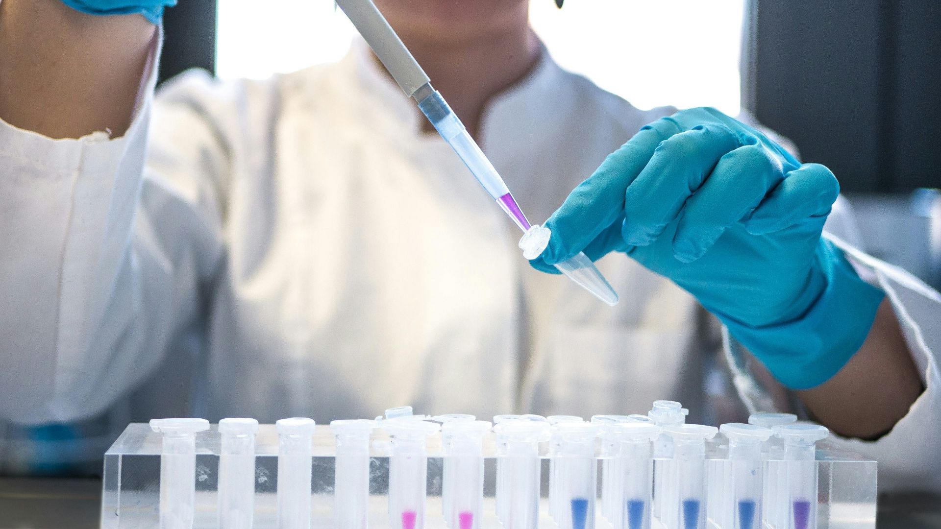scientist using pipette with test tubes in lab