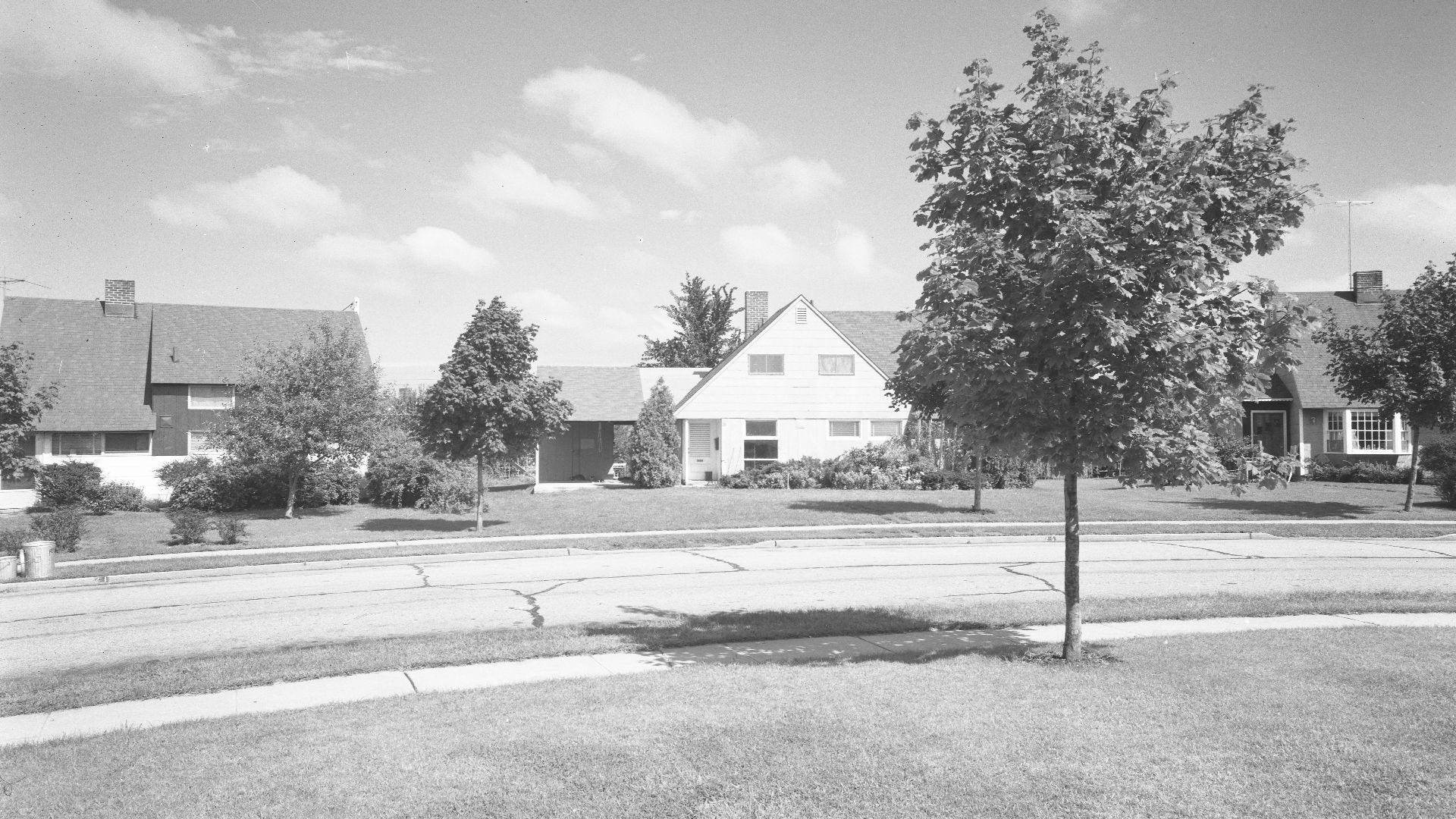 Title: Levittown houses.
Abstract/medium: Gottscho-Schleisner Collection (Library of Congress)

Physical description: 1 negative :