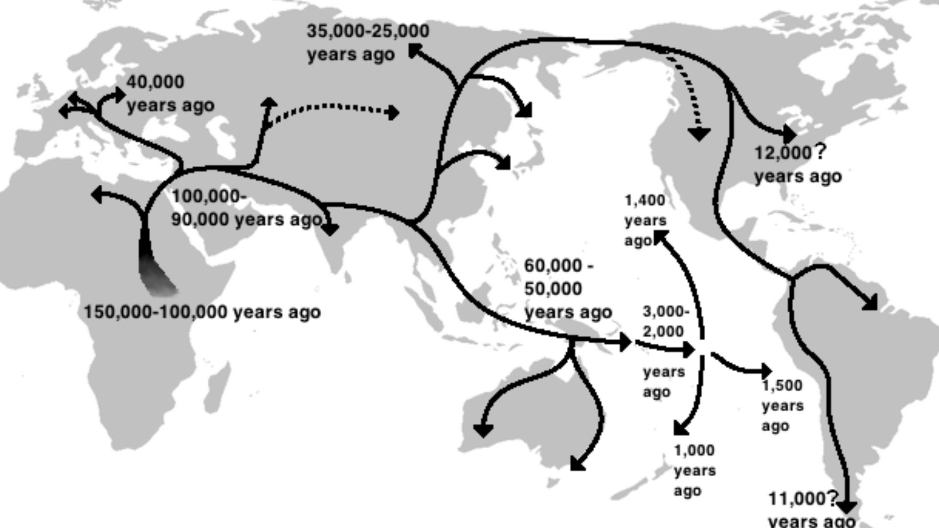 This is a recreation of a map that can be found at the Kyushu Museum website that shows the human migration path and dates Out of Africa as proposed by Saitou Naruya (Japanese:斎藤成也) professor at the (Japanese) National Institute for Genetics.http://www.mu